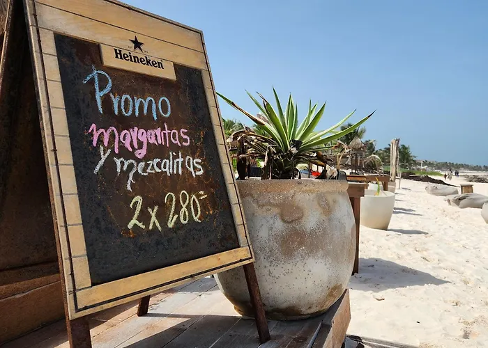 Pal Mar Glamtainer Tulum